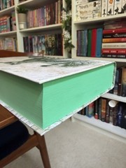 NO DUST JACKET Broken Binding — Green Rider By Kristen Britain