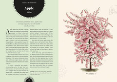 Witch’s Forest: Trees in magic, folklore and traditional remedies (Royal Botanic