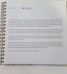 Hand Lettering 101 Step By Step Calligraphy Beginners Workbook 126 Pages New