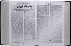 Cepher Package Deal — Large Print