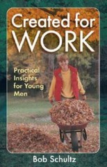 Created for Work: Practical Insights for Young Men — Paperback — GOOD