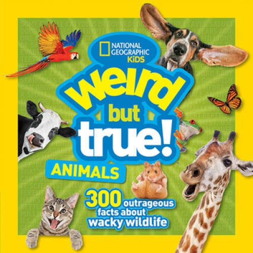 Weird But True Animals — Paperback By Kids, National Geographic — VERY GOOD